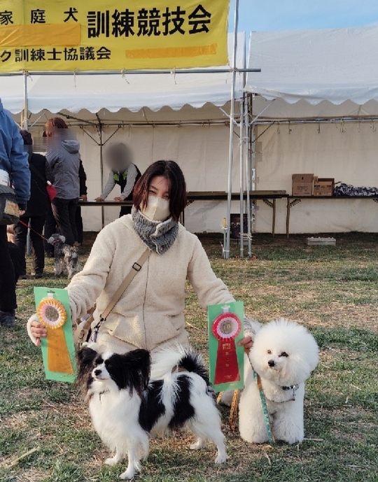 【中古】 めざせ！犬の訓練士 ゲオ公式通販サイト/ゲオオンラインストア【中古】わんことあそぼ